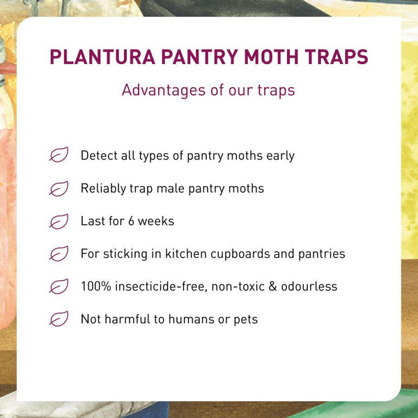 Advantages of Plantura Pantry Moth Traps