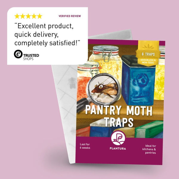 Review of Plantura Pantry Moth Traps