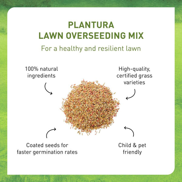 Lawn Overseeding Mix by Plantura