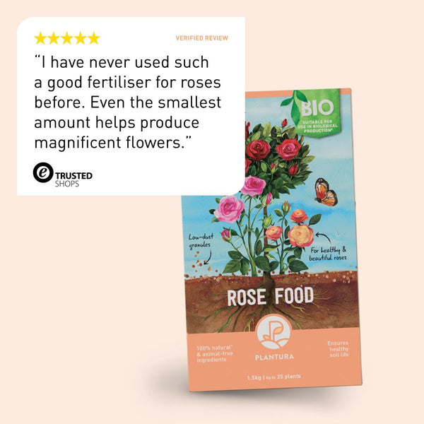 Review of Plantura Rose Food