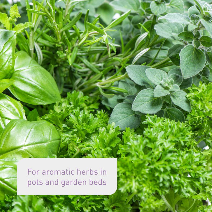 Peat-free and natural compost for herbs