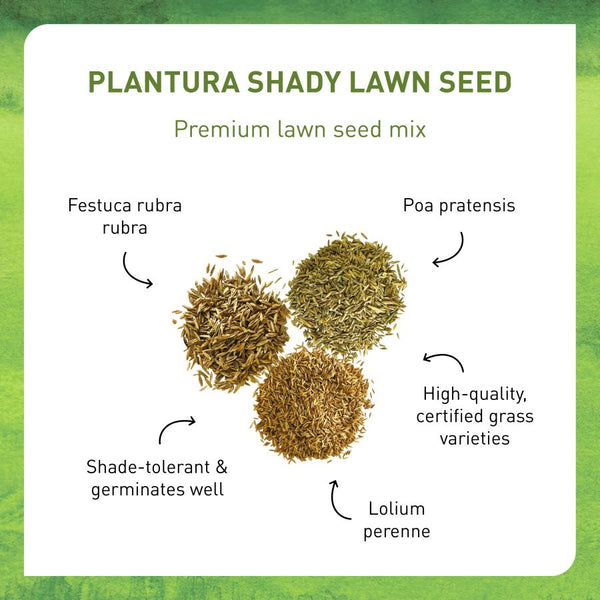 Lawn seed mix for the shade by Plantura