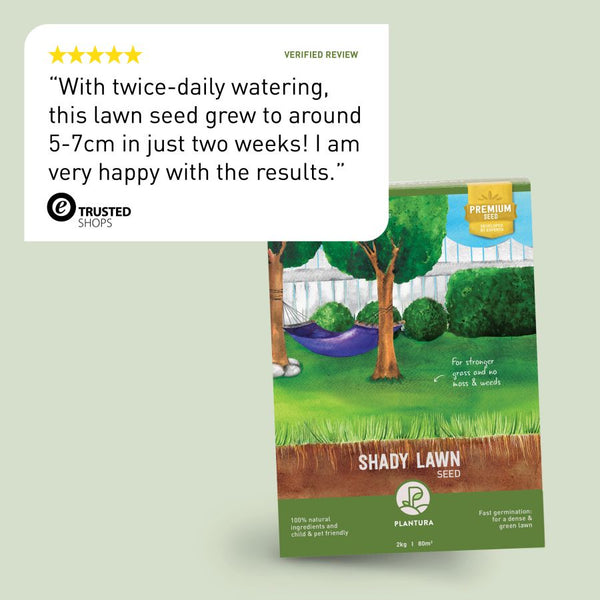 Review of Plantura Shady Lawn Seed