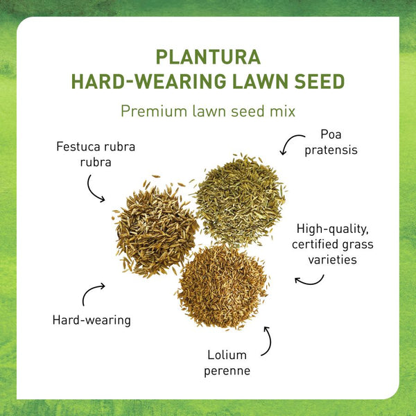 Lawn seed mix for robust lawns by Plantura