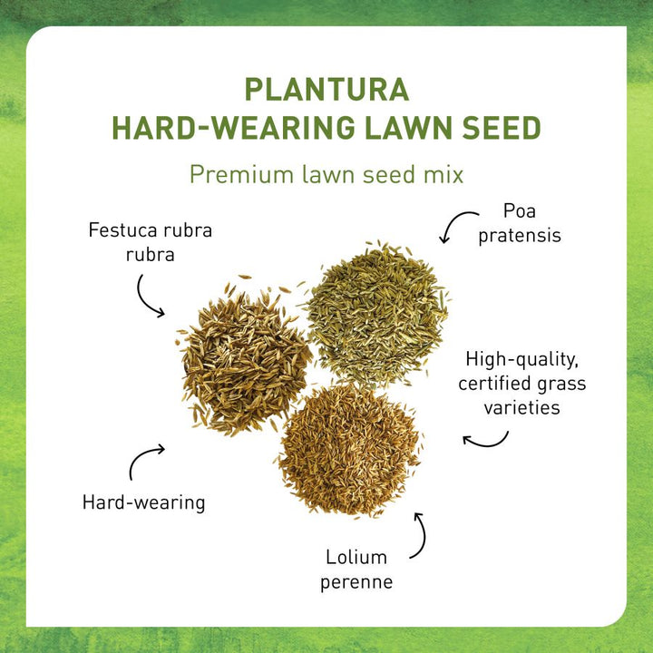 Lawn seed mix for robust lawns by Plantura