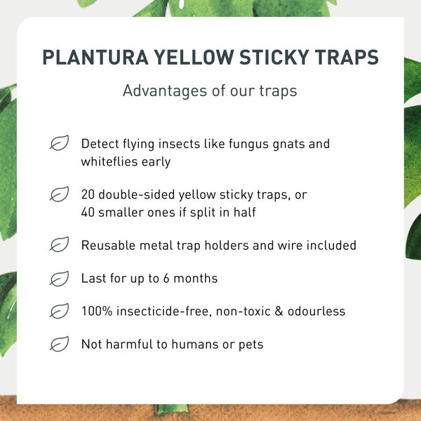 Advantages of Plantura Yellow Sticky Traps