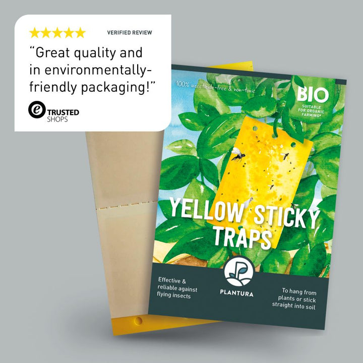 Review of Plantura Yellow Sticky Traps
