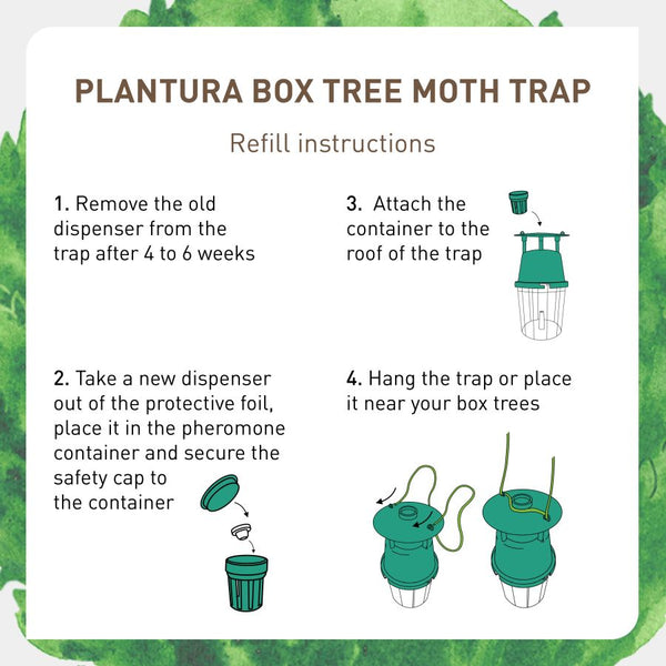 How to refill Plantura Box Tree Moth Trap