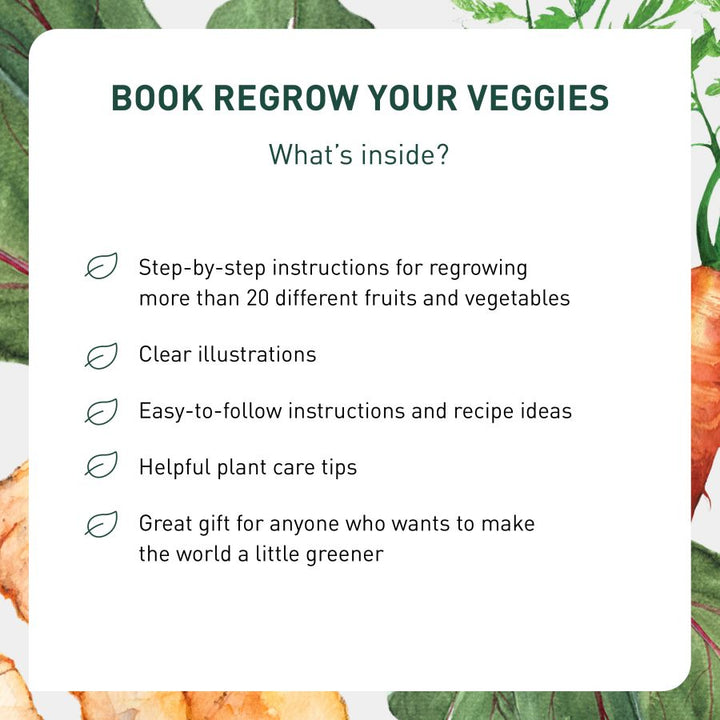 contents of Regrow Your Veggies
