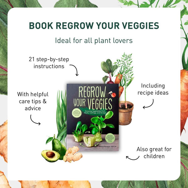 Regrow Your Veggies gift idea