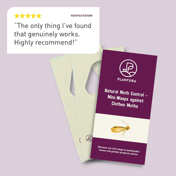 Organic Moth Control Parasitic Wasps against Clothes Moths - Plantura Shop – Plantura UK
