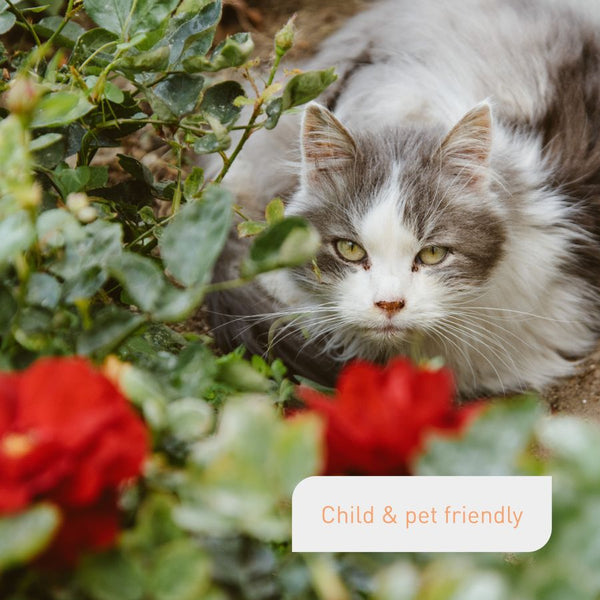 Pet-friendly rose fertiliser by Plantura
