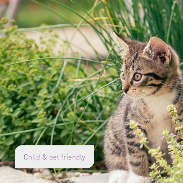 Pet-friendly compost for herbs and seedlings