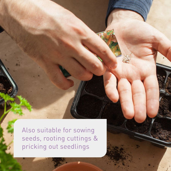 Best soil for sowing and pricking out seedlings
